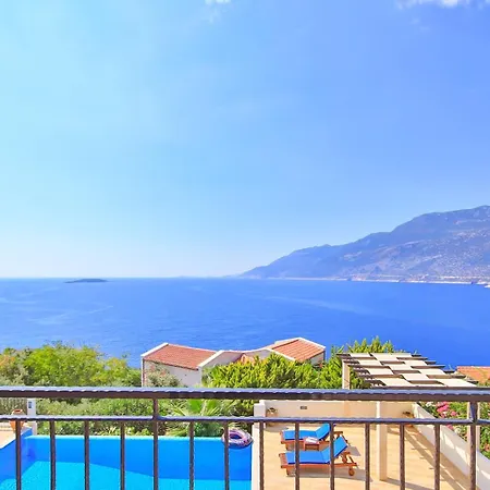 Zeytin Agaci, Peninsula Vila Kaş